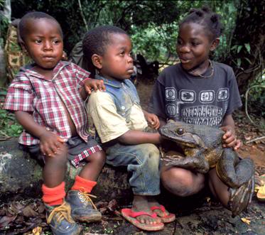 The Goliath Frog